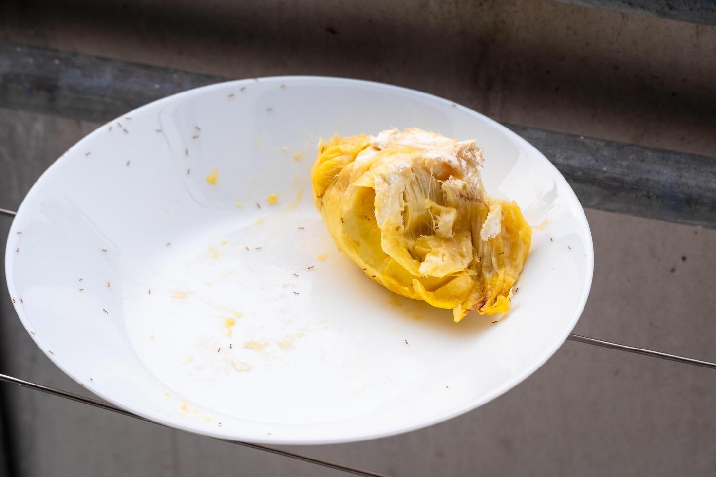 Unexpected leftover mango dessert plate home kitchen food indoor close-up culinary waste photo