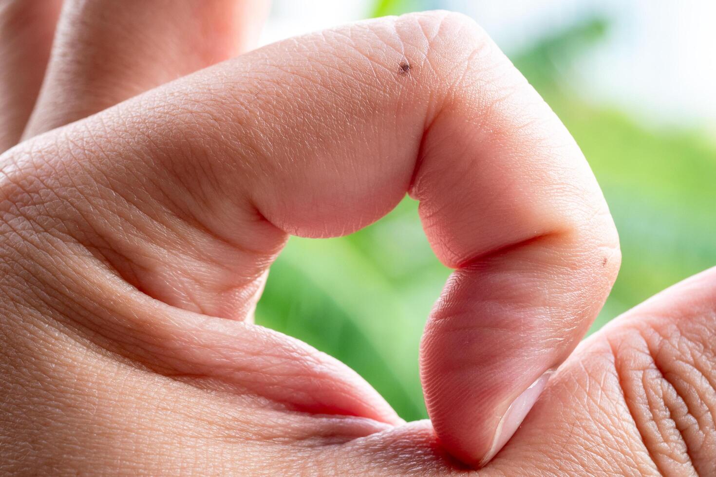 Hand gesture creating heart shape nature background close-up peaceful environment emotional connection photo