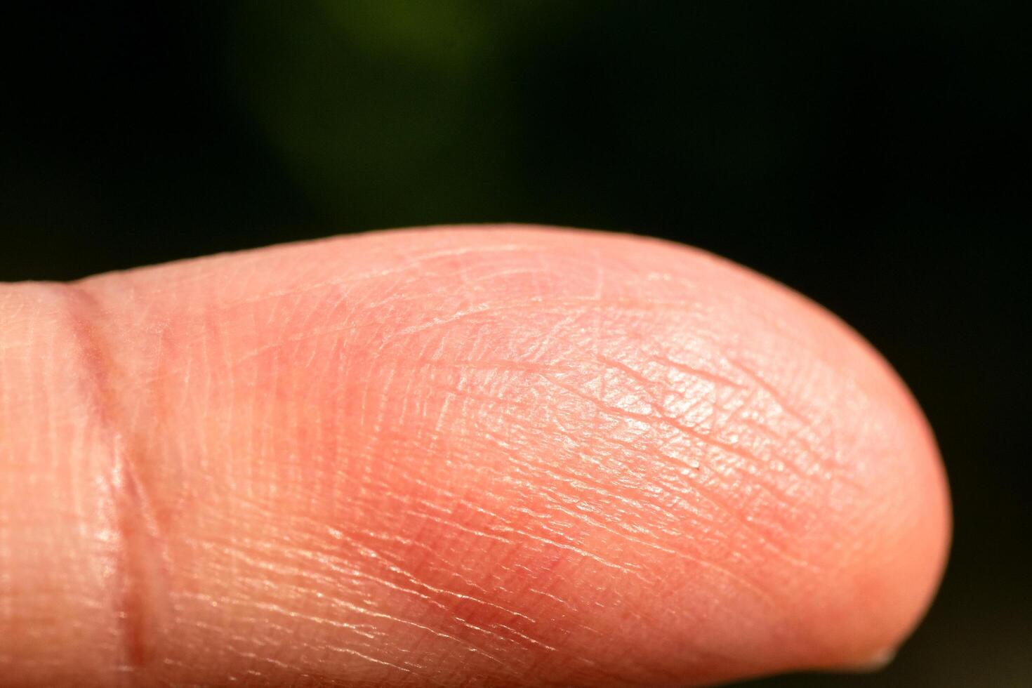Close-up action of finger touching surface outdoor environment macro nature concept photo