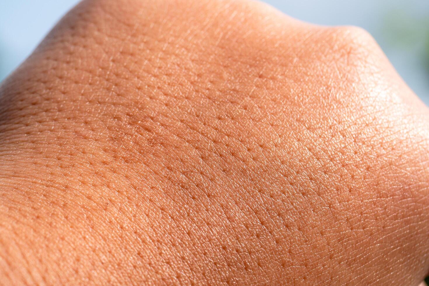 Skin texture and details close-up natural light outdoor macro view sensory focus photo