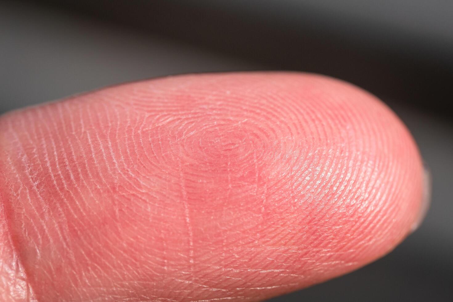 Fingerprint evidence collection forensic science lab macro investigative environment close-up viewpoint photo