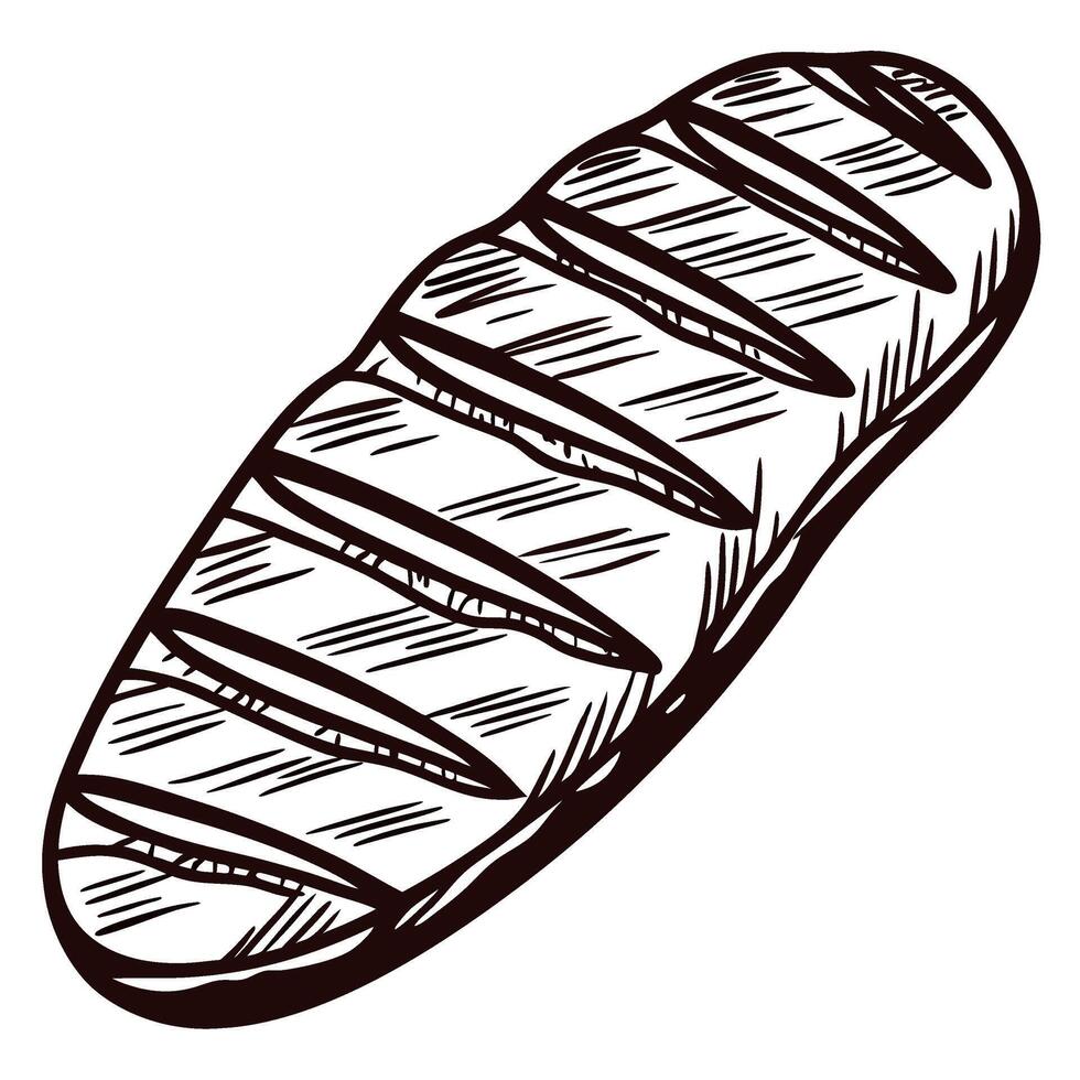 Hand drawn rustic bread loaf with slash marks on crust vintage isolated illustration on white background vector