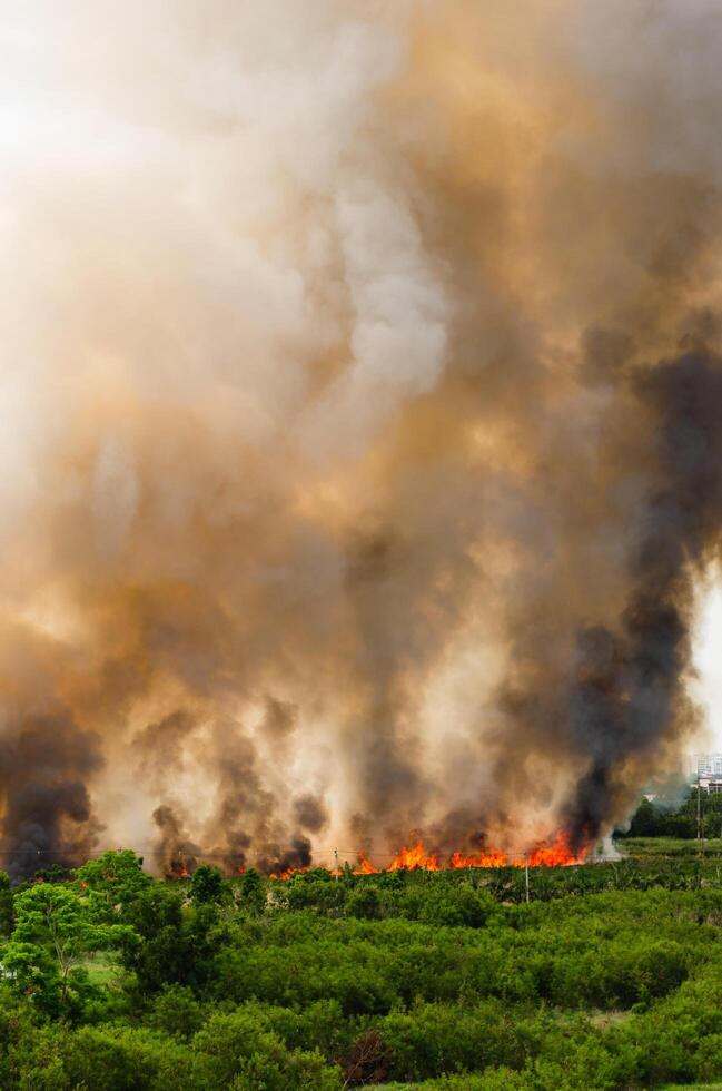 Wildfire emergency response forest area smoke-heavy environment aerial view environmental impact photo