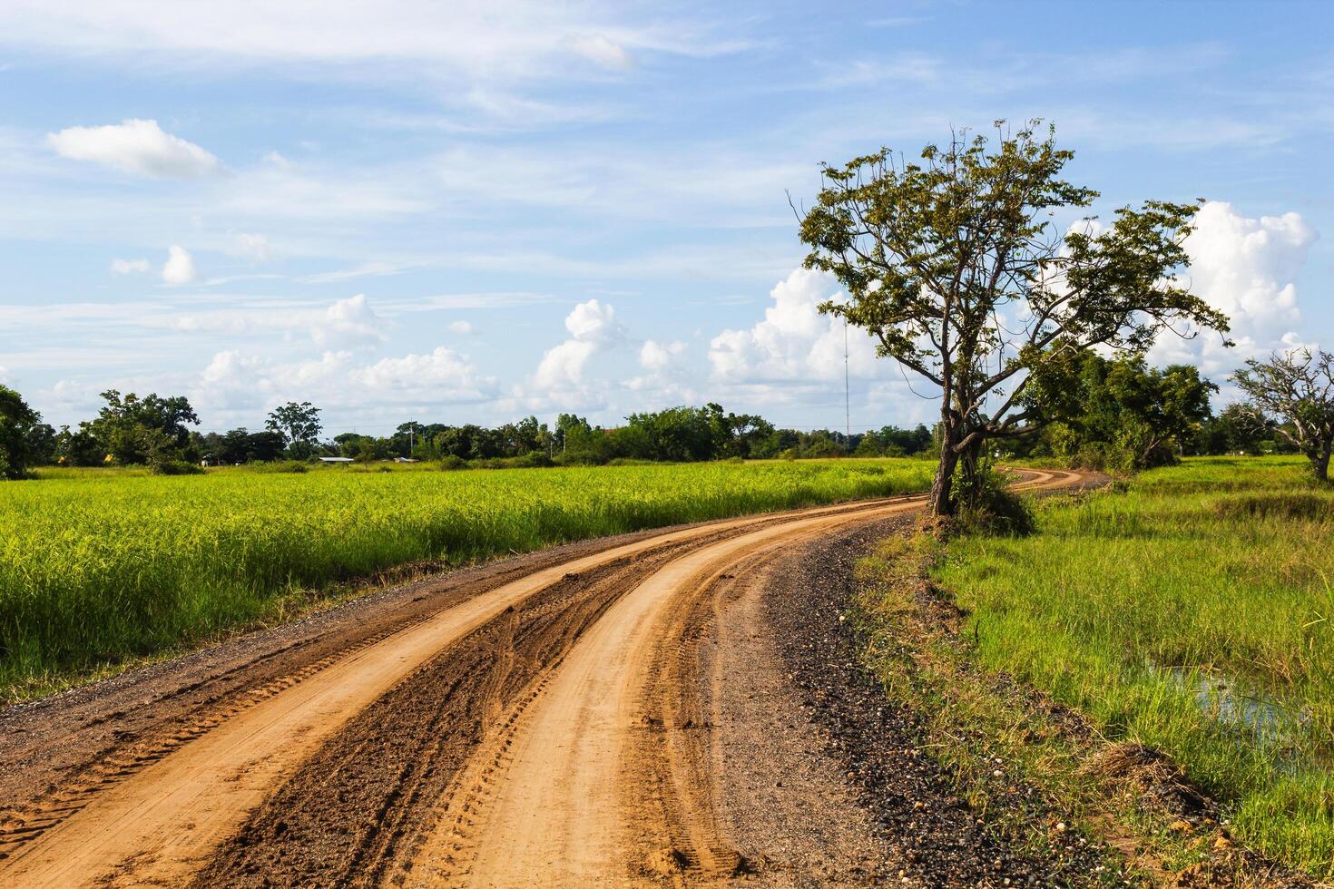 Winding dirt road through lush green fields countryside nature scene clear sky peaceful view photo