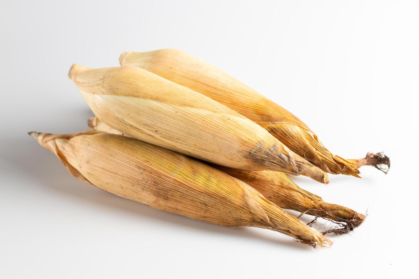 Harvesting unique corn varieties local farm food rustic kitchen close-up culinary delights photo