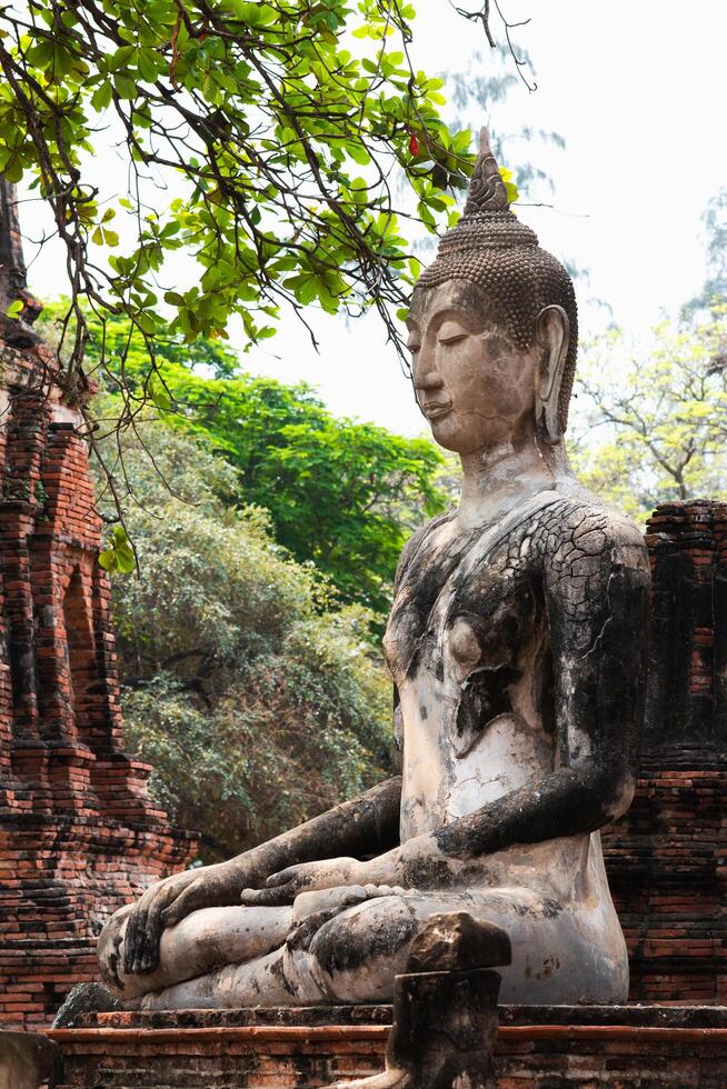 Historic buddha statue meditation ayutthaya ancient ruins close-up spiritual reflection photo