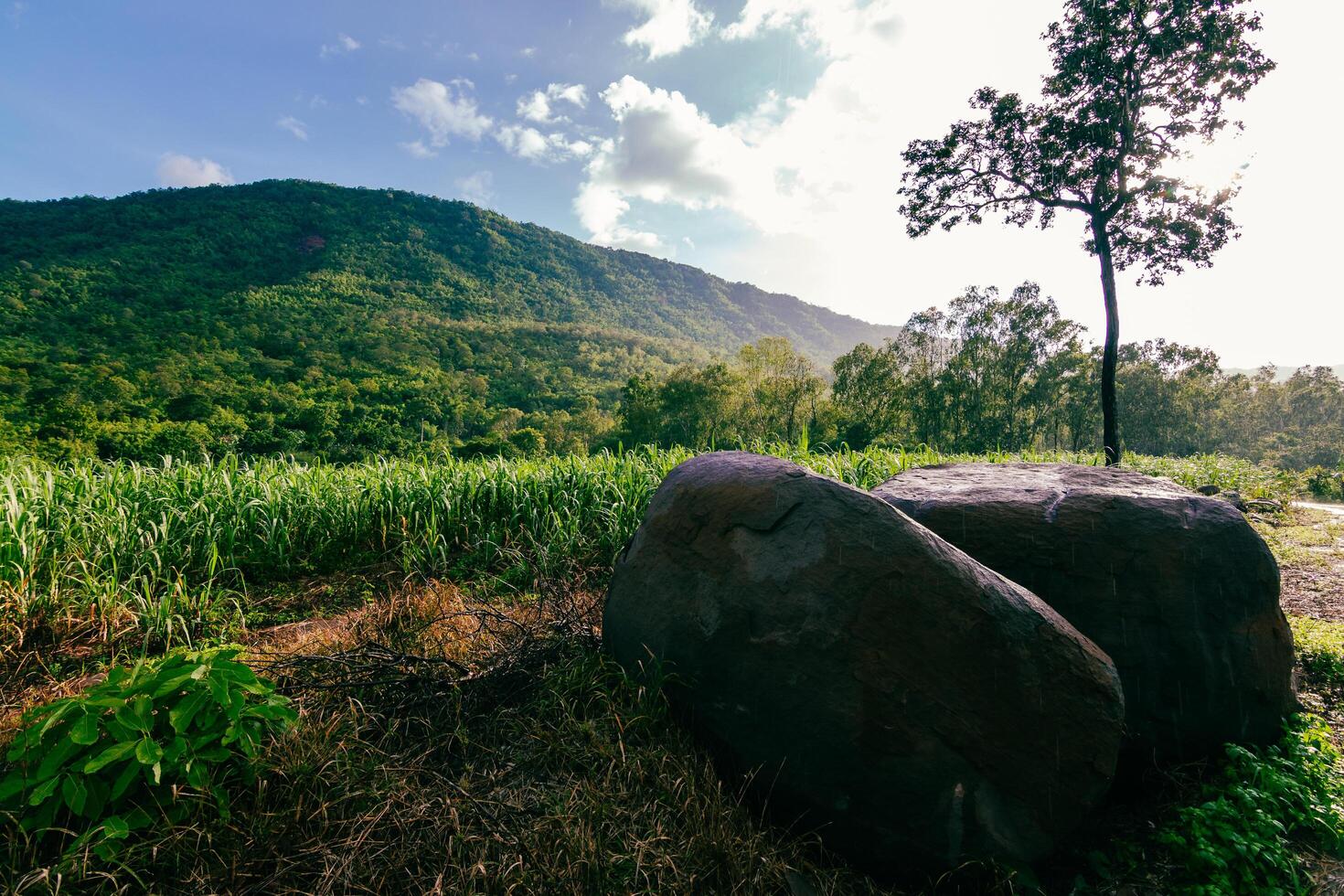 Nature's tranquility scenic mountain landscape serene green fields vibrant viewpoint breathtaking beauty photo