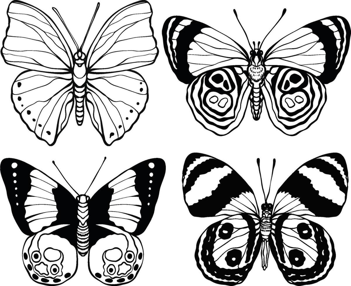 the butterfly illustration set vector
