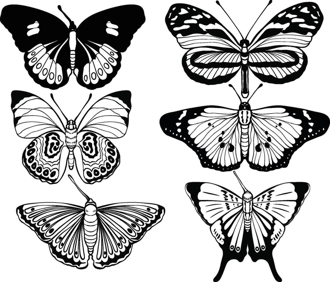 High quality hand drawn butterfly illustration set vector