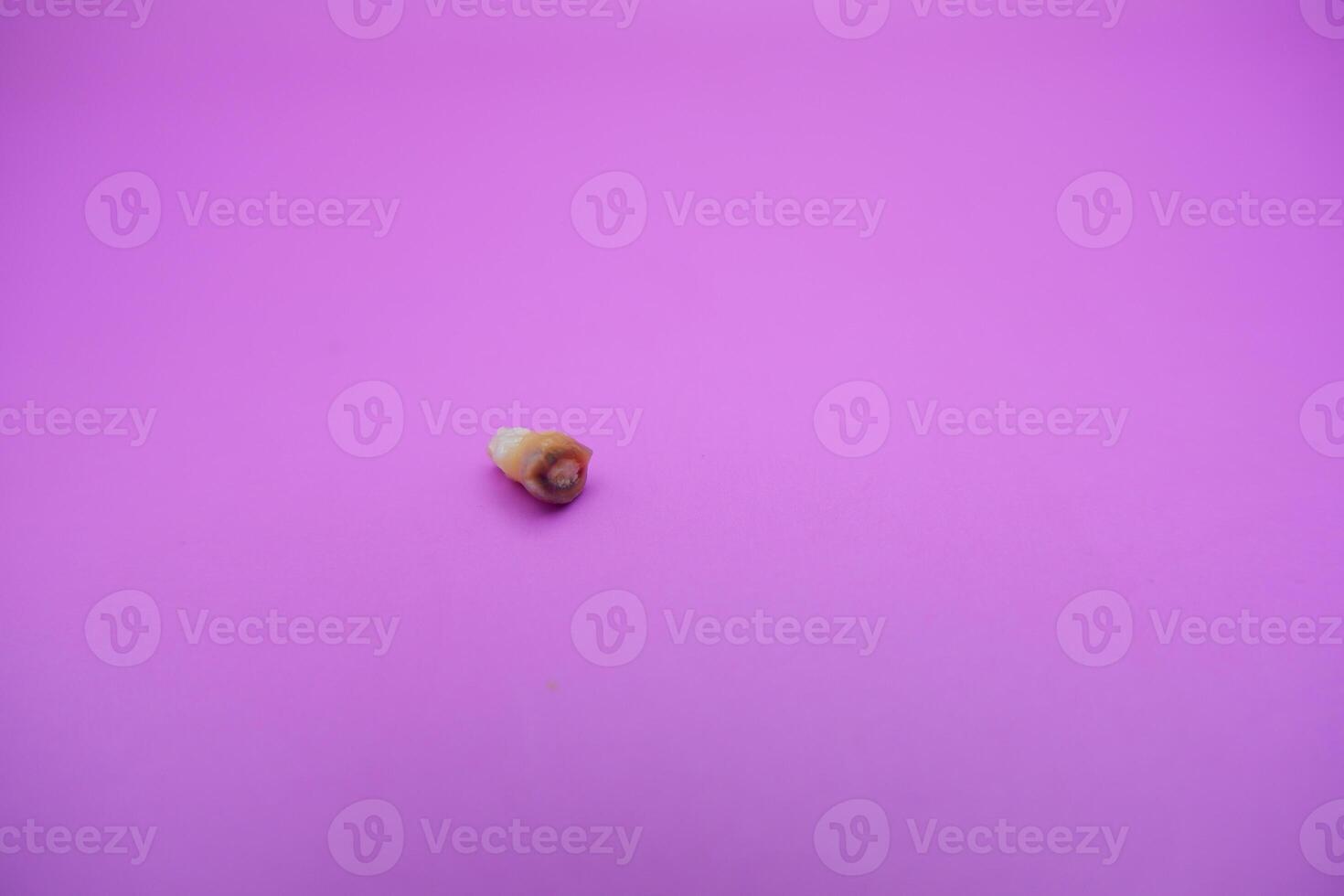Isolated Damaged Baby Tooth on Pink Surface photo