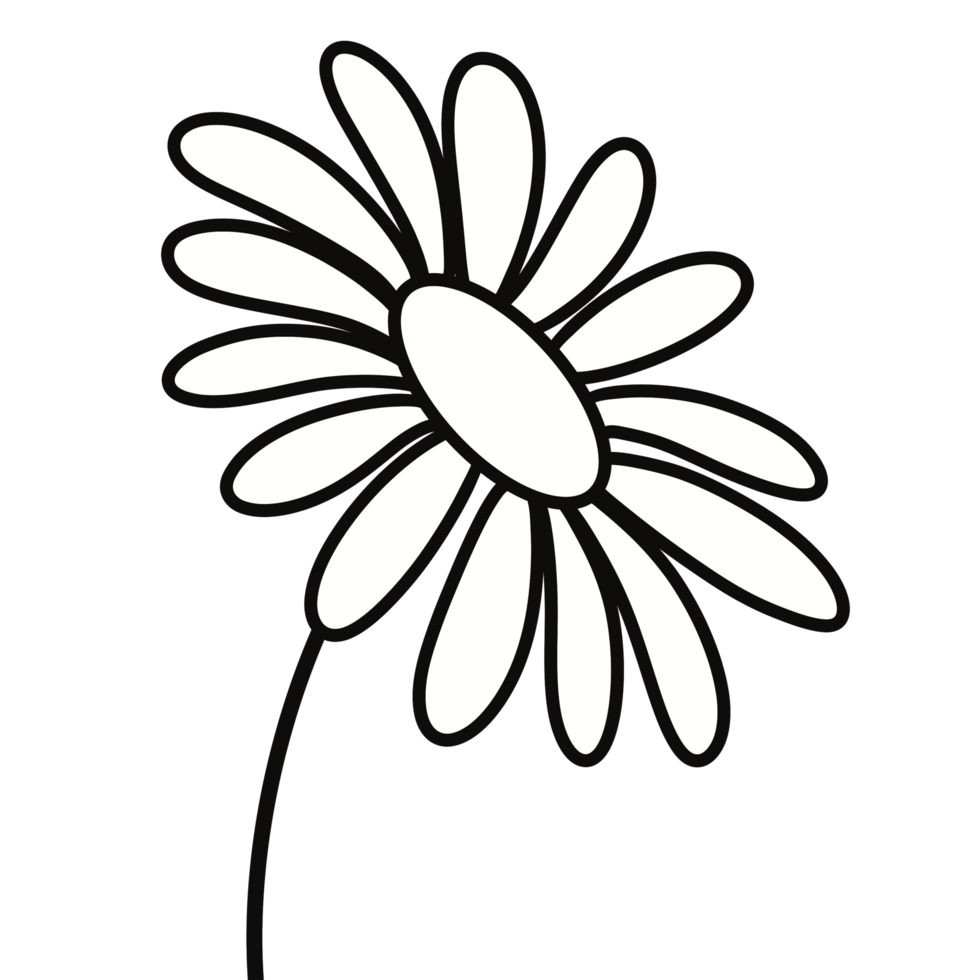 White Flower Doodle png