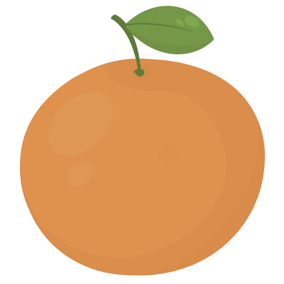Fruit Orange Juice png