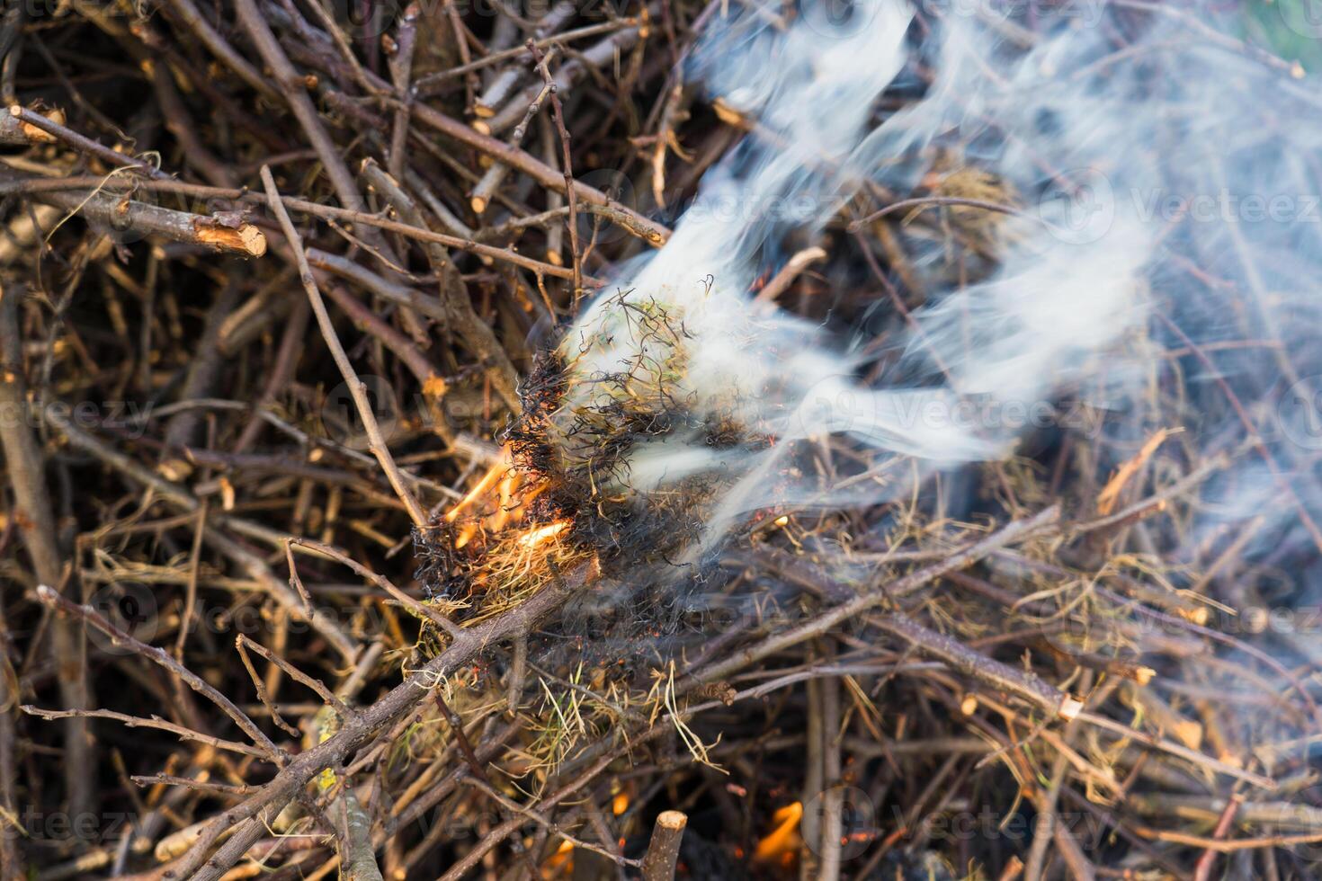 A burning pile of dry branches. A bonfire flame. Bonfire in the village photo