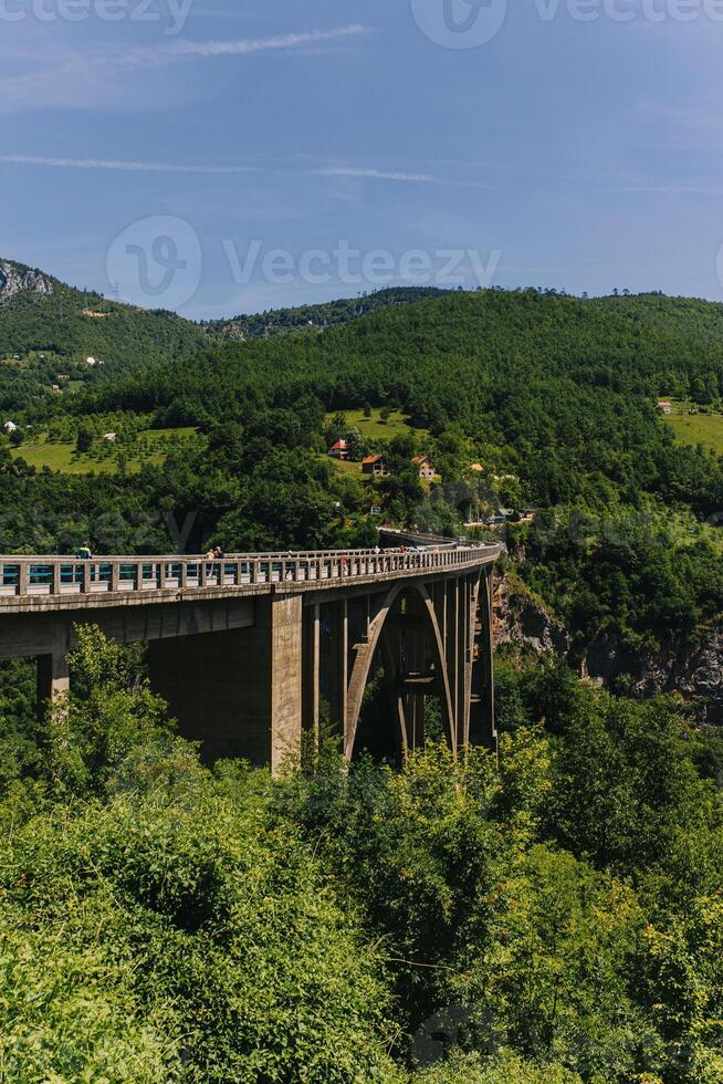 Amazing view of the Durdevica Tara Bridge over the Tara river canyon, Montenegro. photo