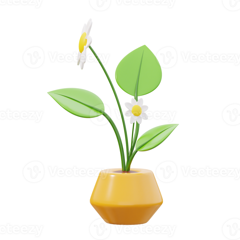 Gerbera Daisy 3d icon illustration png