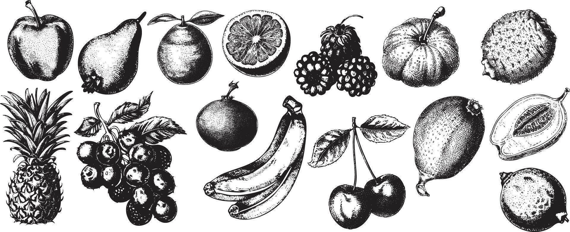 Print Vintage Engraving of assorted Fruits with bold lines and Retro Style, perfect for Organic, Botanical, and Farmhouse themed illustrations. vector