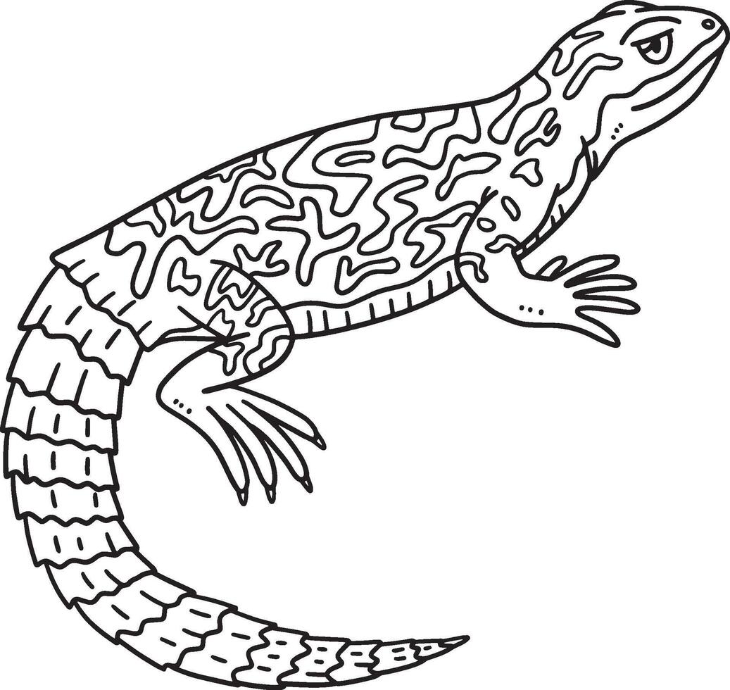 Spiny-Tailed Lizard Isolated Coloring Page vector