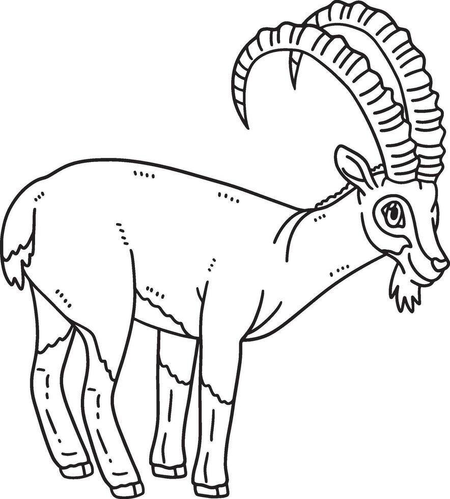 Nubian Ibex Animal Isolated Coloring Page for Kids vector