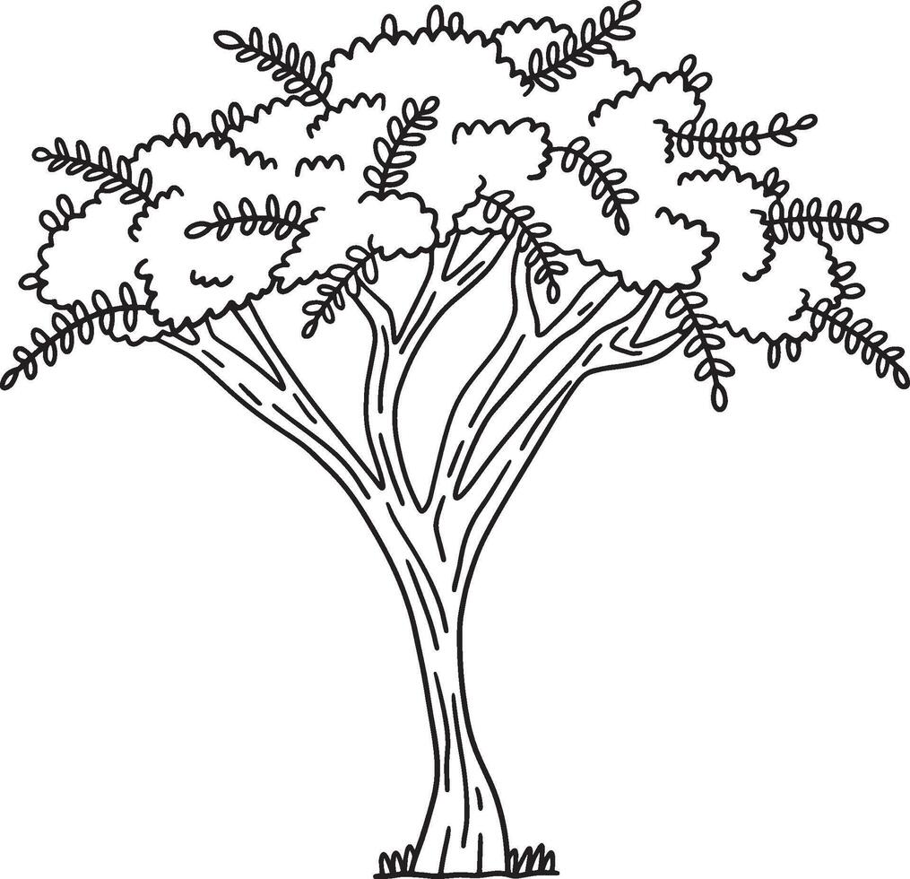 Acacia Tree Isolated Coloring Page for Kids vector