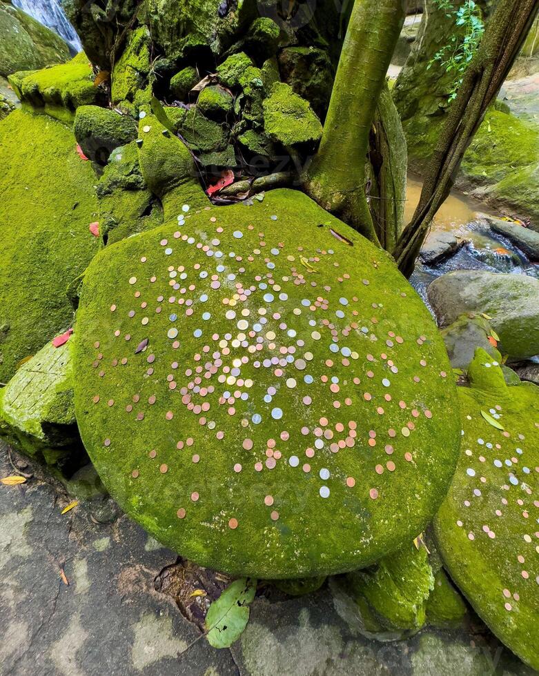 A high-angle, close-up shot captures a large, rounded moss-covered stone turtle statue, heavily dotted with numerous small coins, serving as a traditional wishing stone at a waterfall on Koh Samui photo