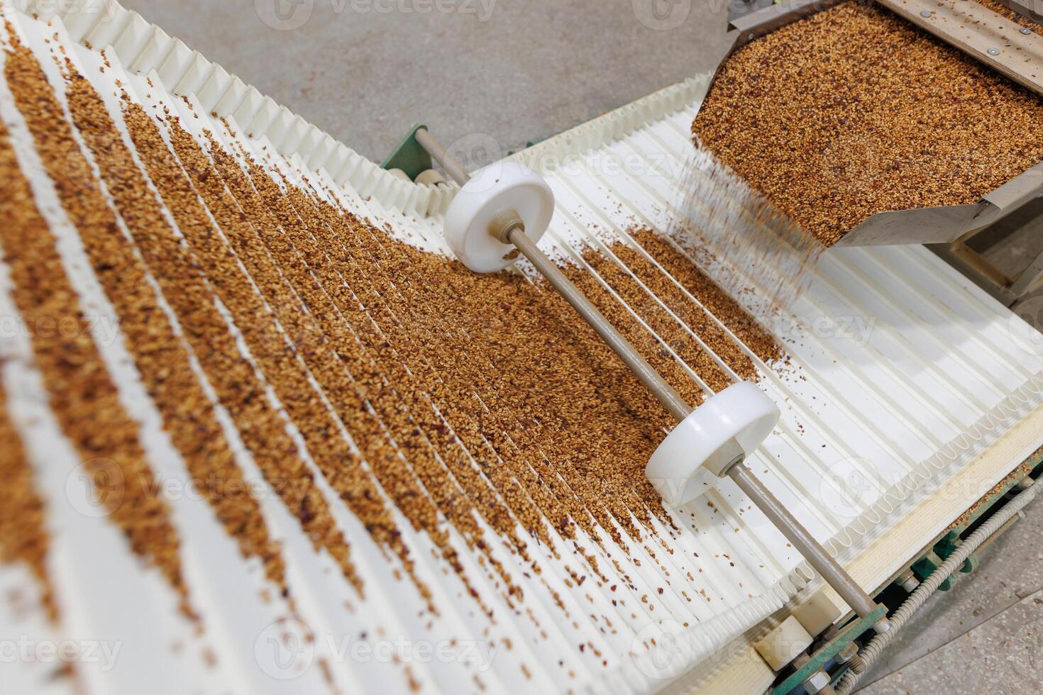 Automated Conveyor System for Grain Processing and Sorting in Modern Food Industry Factory photo