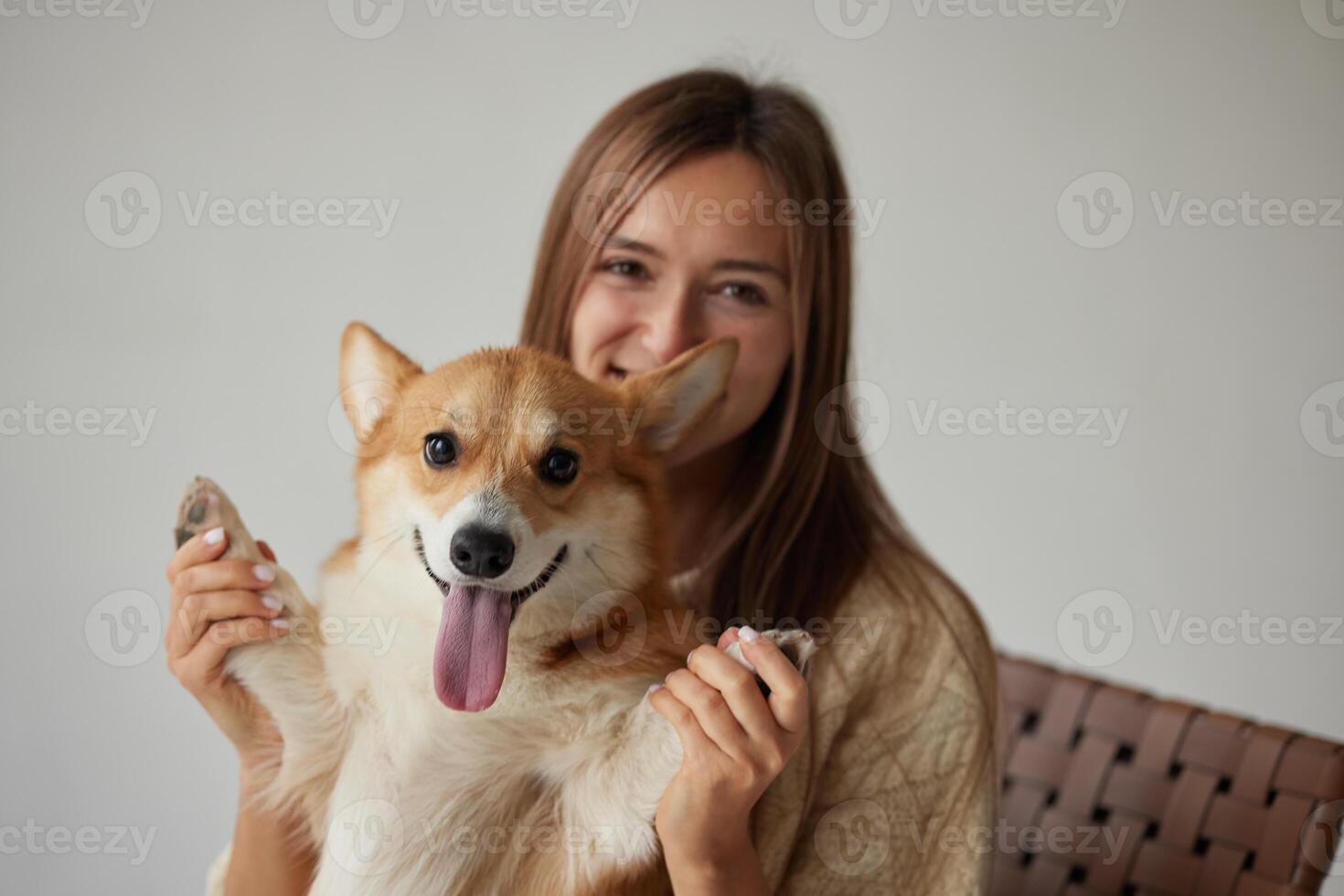 Woman lifting Corgi dog's paws in playful happy moment, smiling together in cozy indoor setting. photo