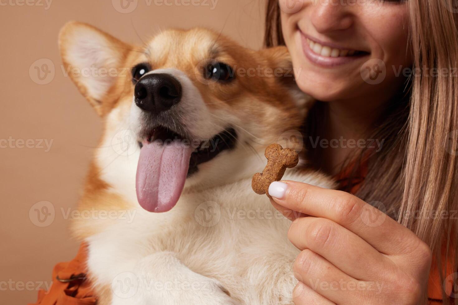 Corgi with a treat and owner photo