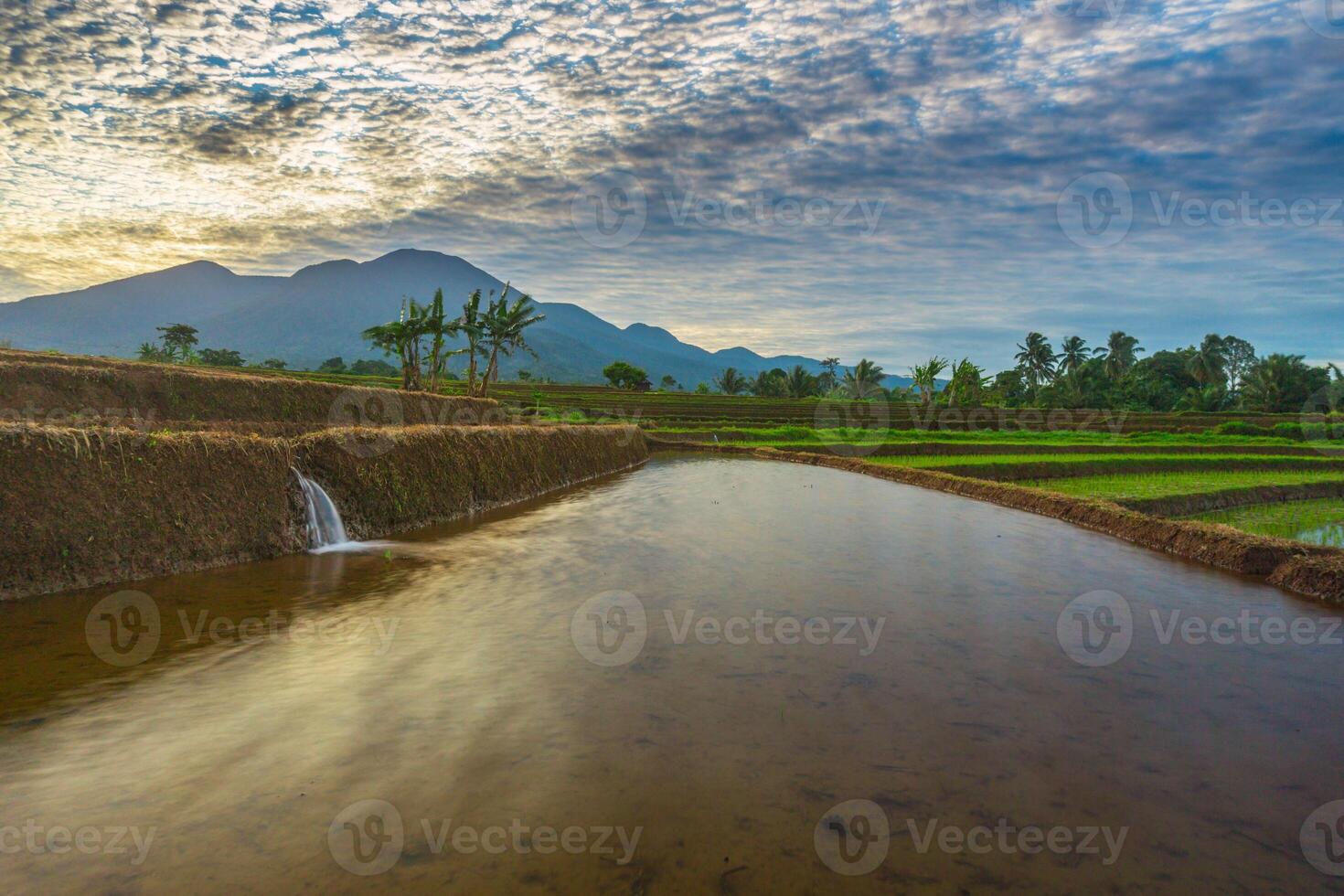 A small waterway in a rice field with a mountain in the background photo