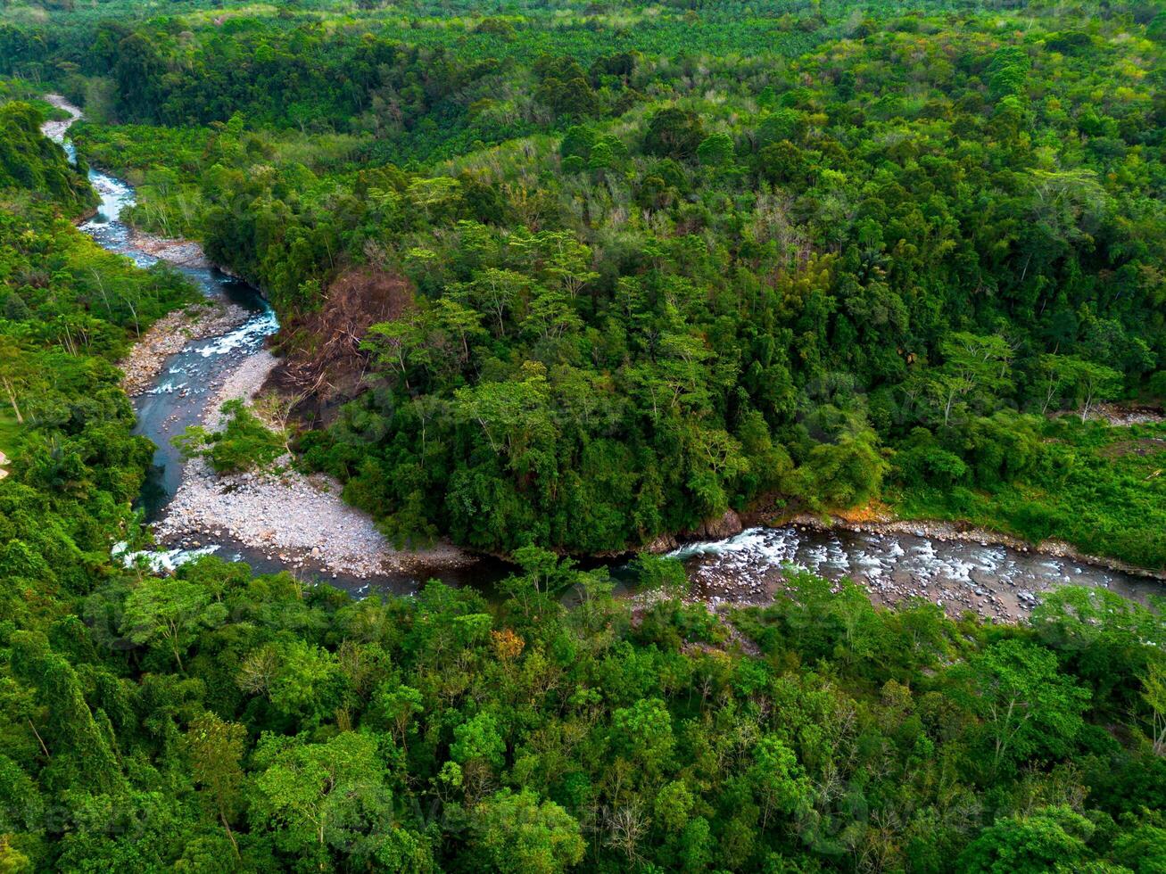 Aerial view of the amazon river in the amazon rainforest, brazil photo