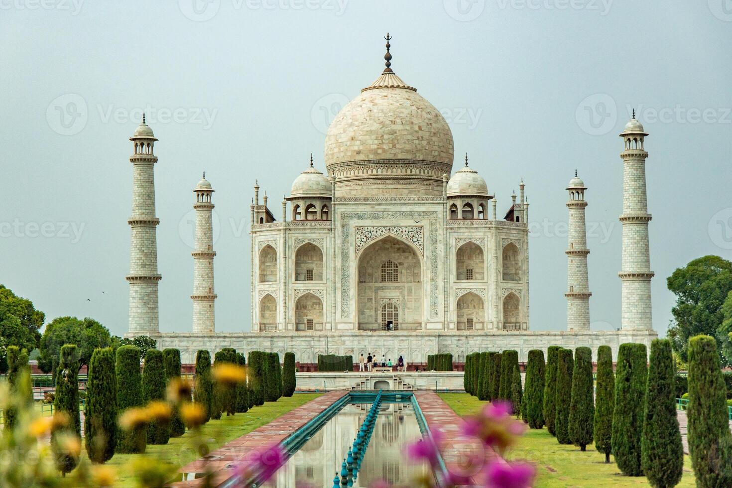Taj Mahal reflecting in the water channel with colorful flowers in Agra, India photo