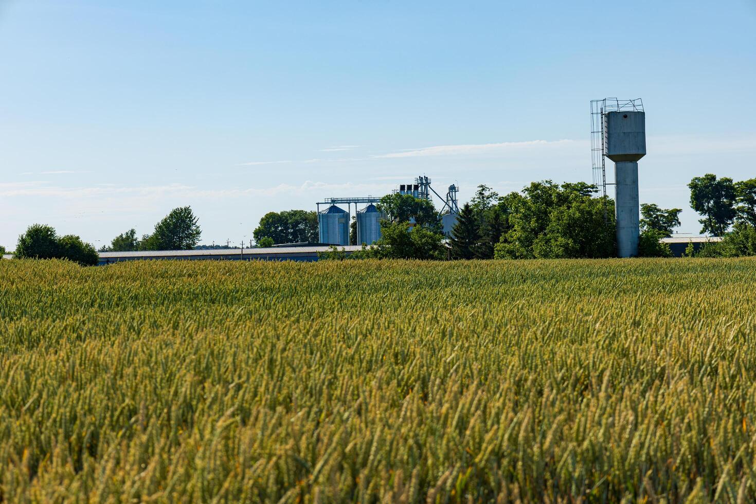 A grain storage facility with silos towers in the background, surrounded by lush green fields in a peaceful rural setting under sunny weather photo