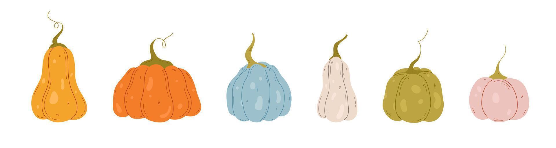 Different colors pumpkins set. Hand drawn pumpkins. Halloween and autumn harvest symbol vector