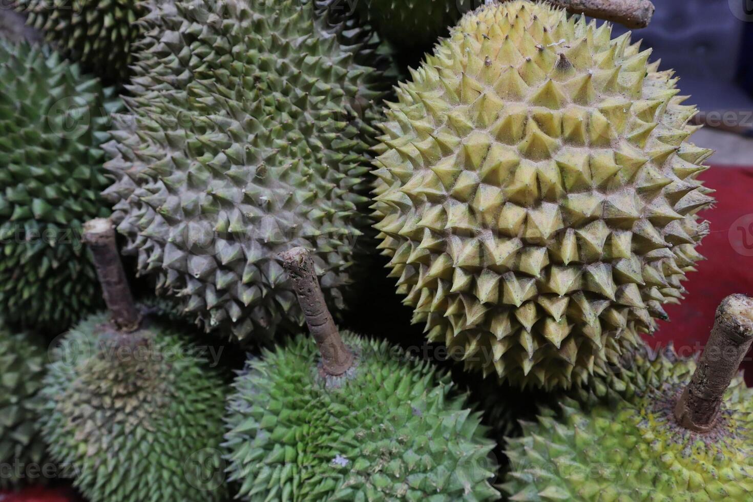 A pile of durian fruit on display photo