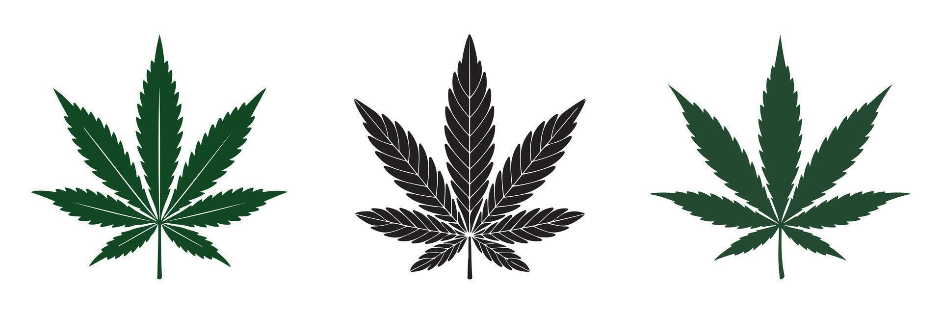 Cannabis or marijuana leaf icon set. Cannabis Leaves Illustration. vector
