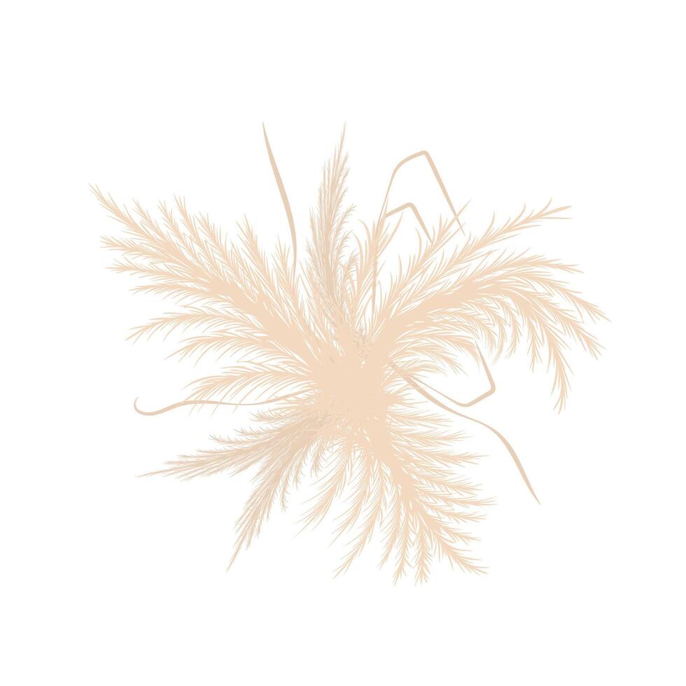 Dry pampas grass. Wedding bouquet design. Beige cortaderia in boho style. flowers isolated on white background. Trendy element for invitations, postcards, social media, stickers vector