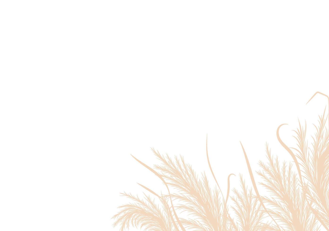 Dry pampas grass. Floral border frame design. Beige cortaderia in boho style. dried flowers isolated on white background. Trendy template for invitations, postcards, social media vector