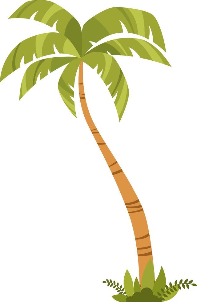 Palm tree. Tropical plants, decoration for summer, beach. Hand drawn simple illustration. vector