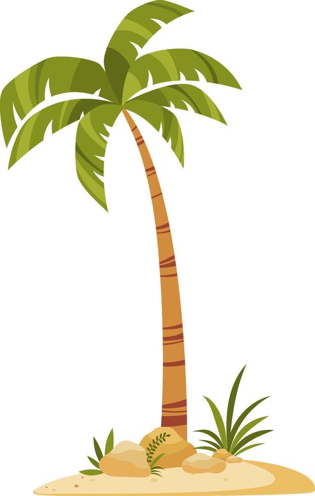 Palm tree. Cartoon element. Tropical plants, decoration for summer and beach. Hand drawn illustration. vector