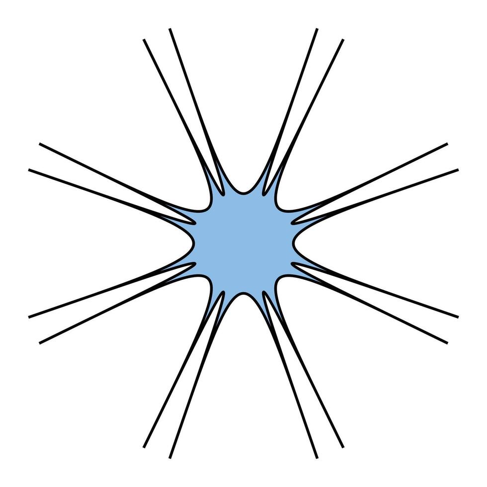 Starburst with Radial Symmetry vector