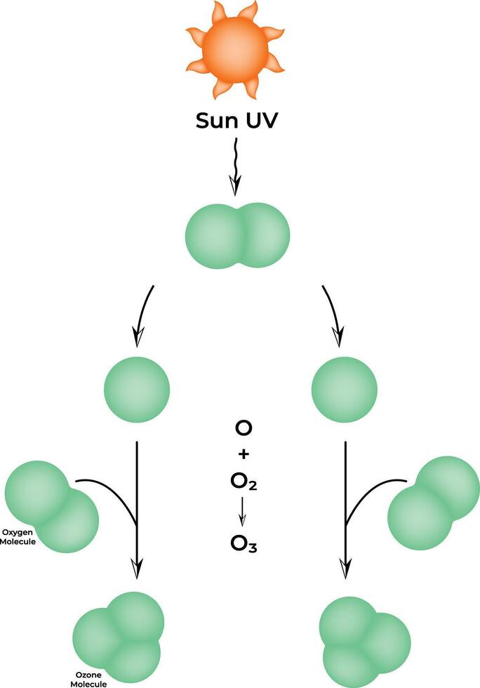 Ozone Layer Formation The Reaction of Oxygen Molecules with UV Radiation vector