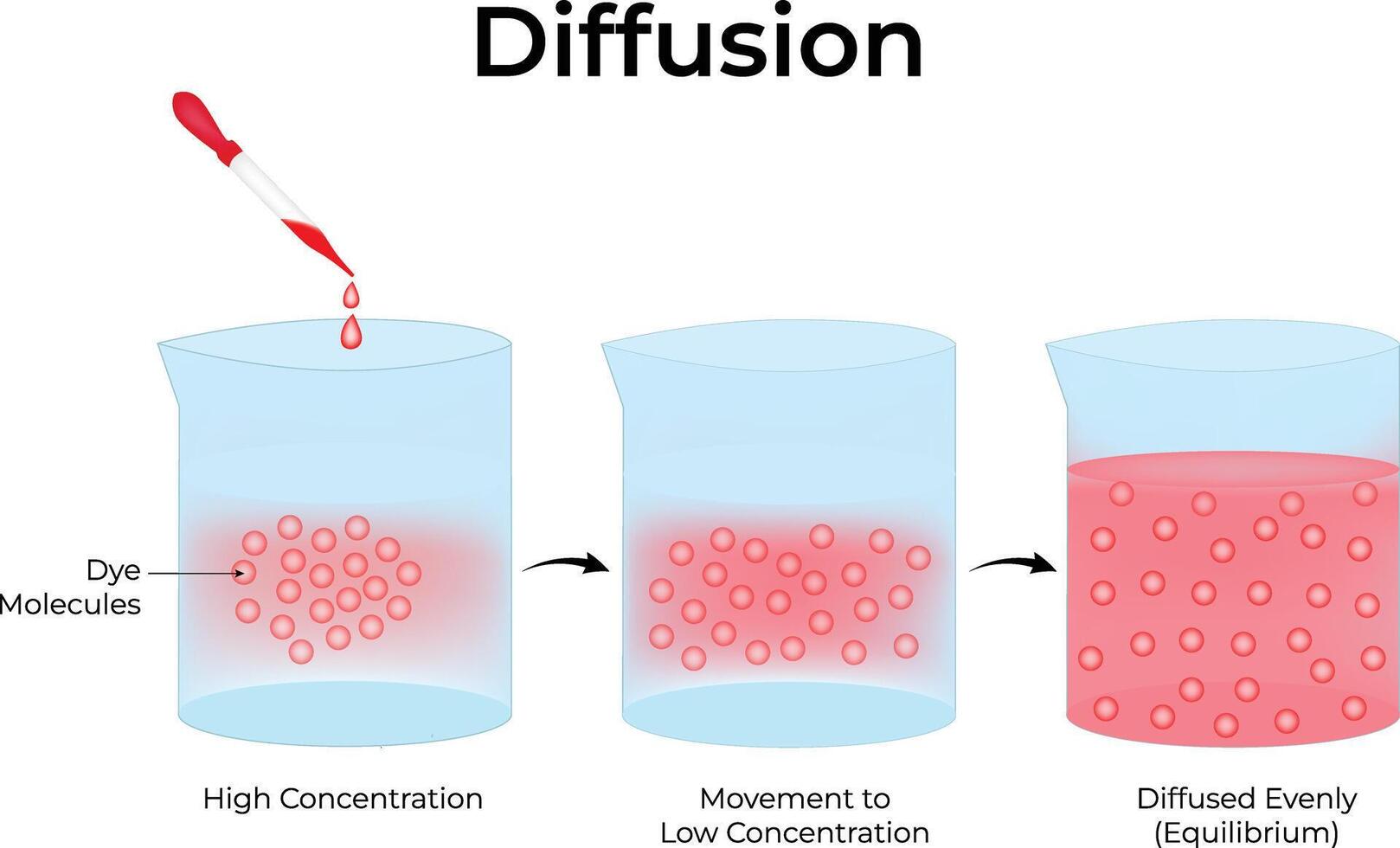 Diffusion Process Dye Molecules Moving Towards Equilibrium Science Design Illstration Diagram vector