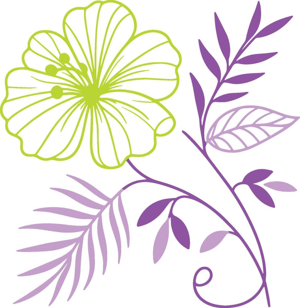 botanical floral illustration featuring hand drawn stem leaves and cotton flower in a modern minimal composition vector