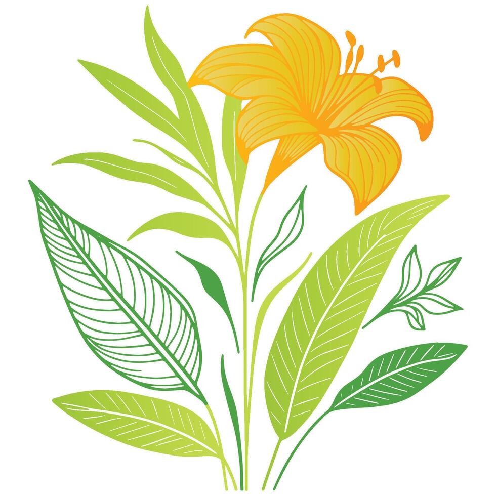 cotton blossom and natural leaves hand drawn in a modern botanical art format for textile and wall prints vector