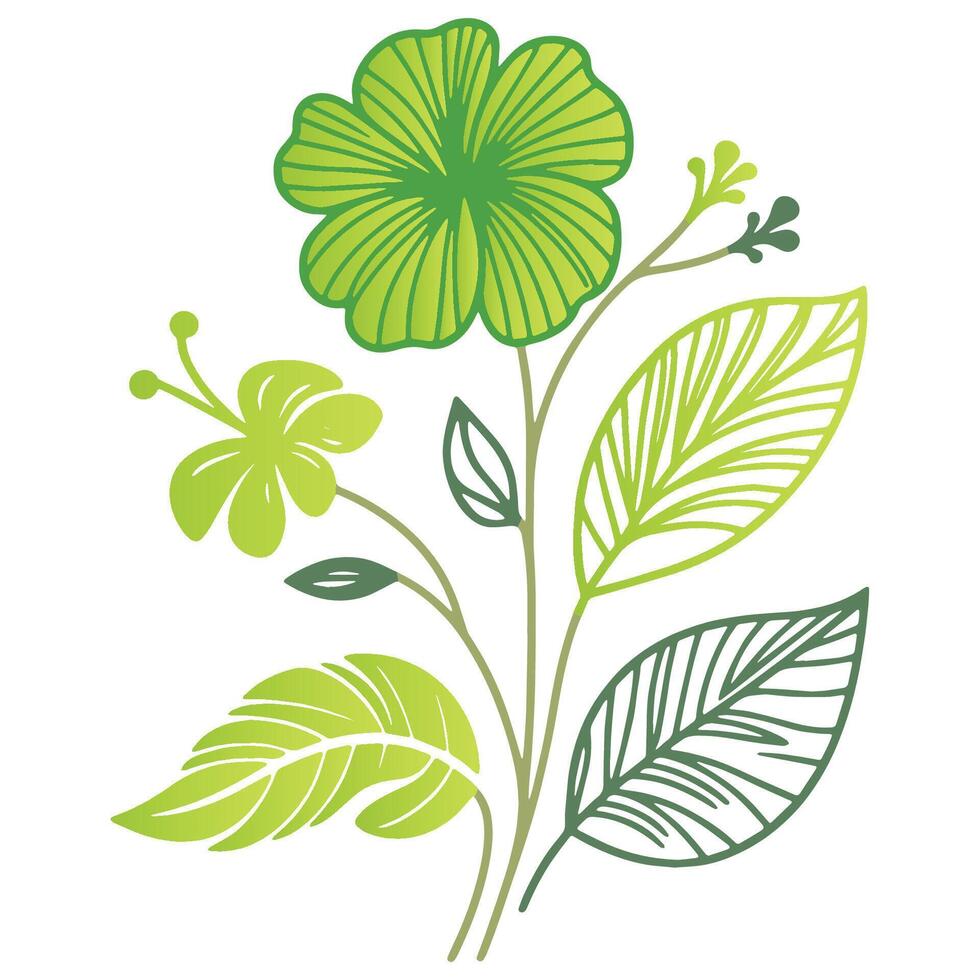elegant botanical drawing of flowers with cotton bloom and leafy lines in a hand illustrated modern layout vector