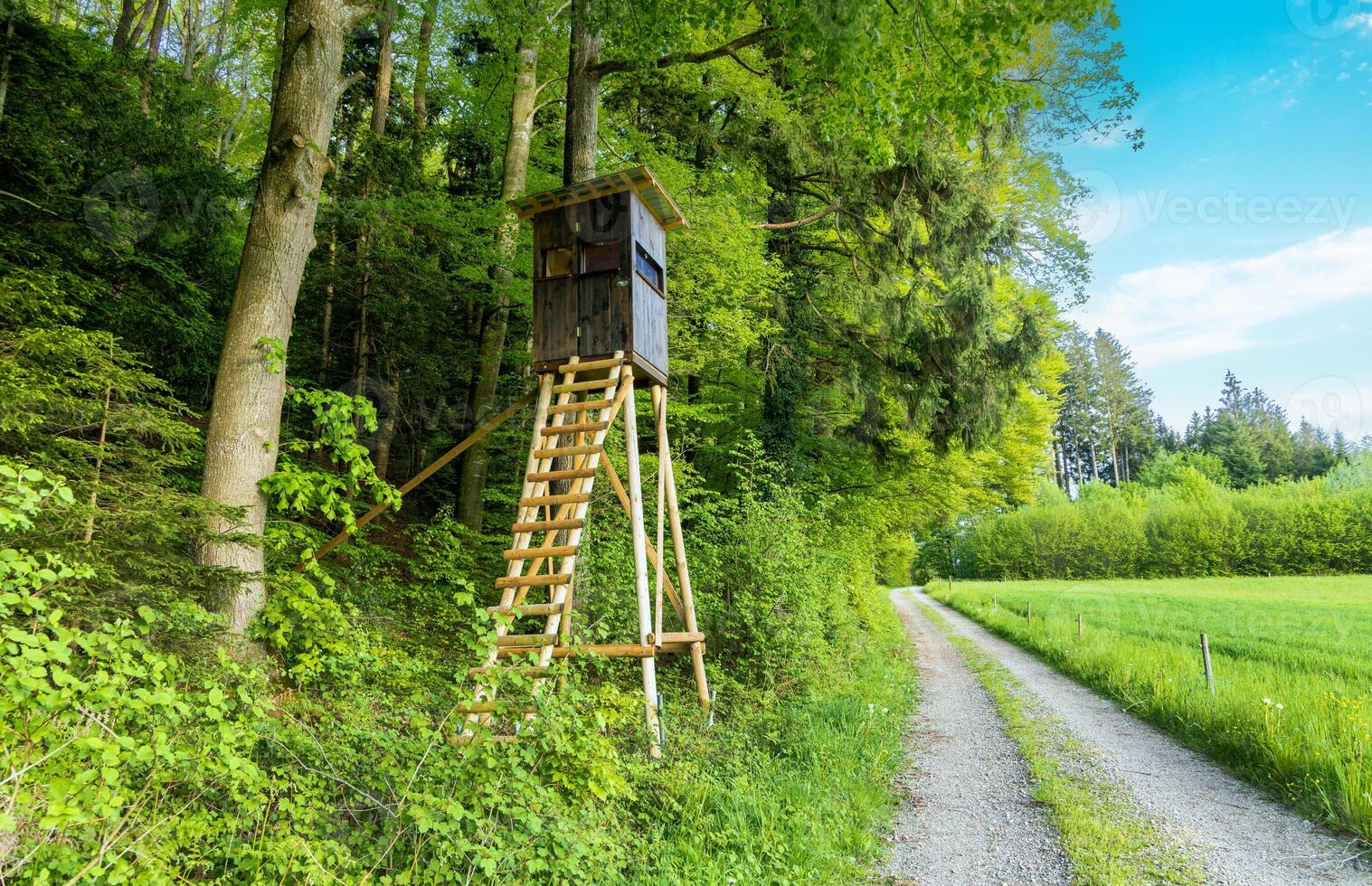 tower stands on edge of a forest near the dirt roa photo