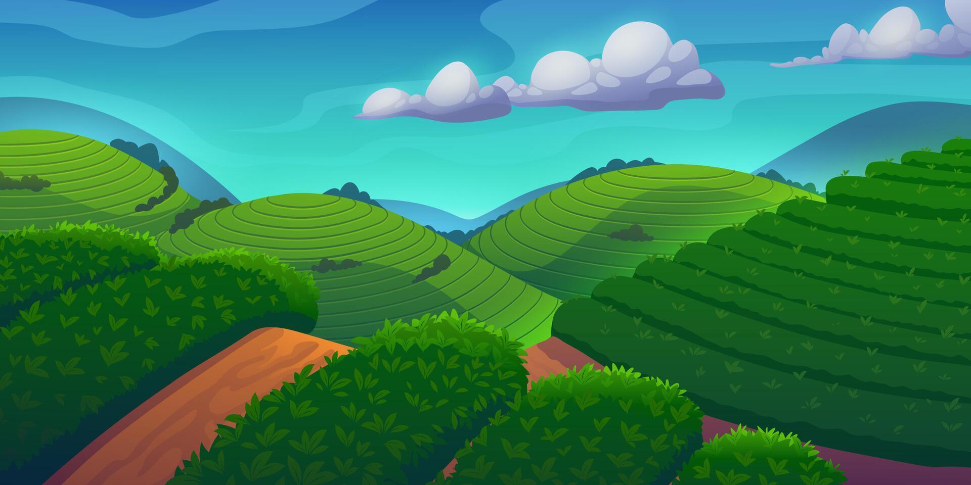 Tea plantation mountain farm fields landscape vector