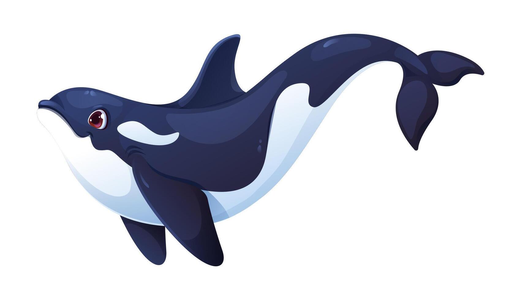 Cartoon killer whale orca character, sea animal vector