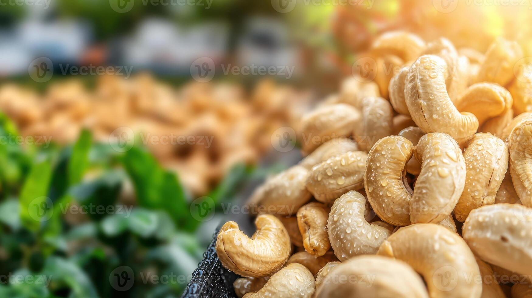 Close-Up Of Fresh Cashew Nuts With Water Droplets In Outdoor Market. Nutritious Snack And Healthy Food Choice photo