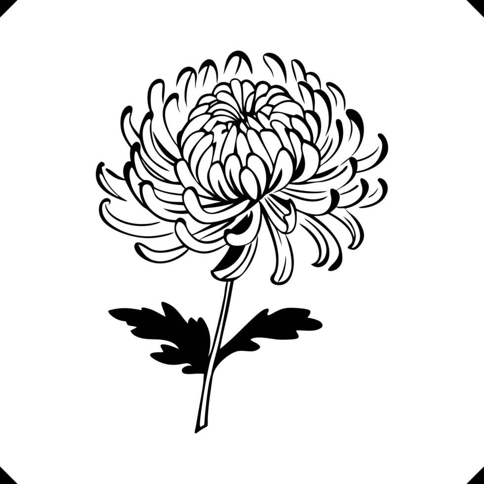 Silhouette of a chrysanthemum with tight, curling petals, a flower vector
