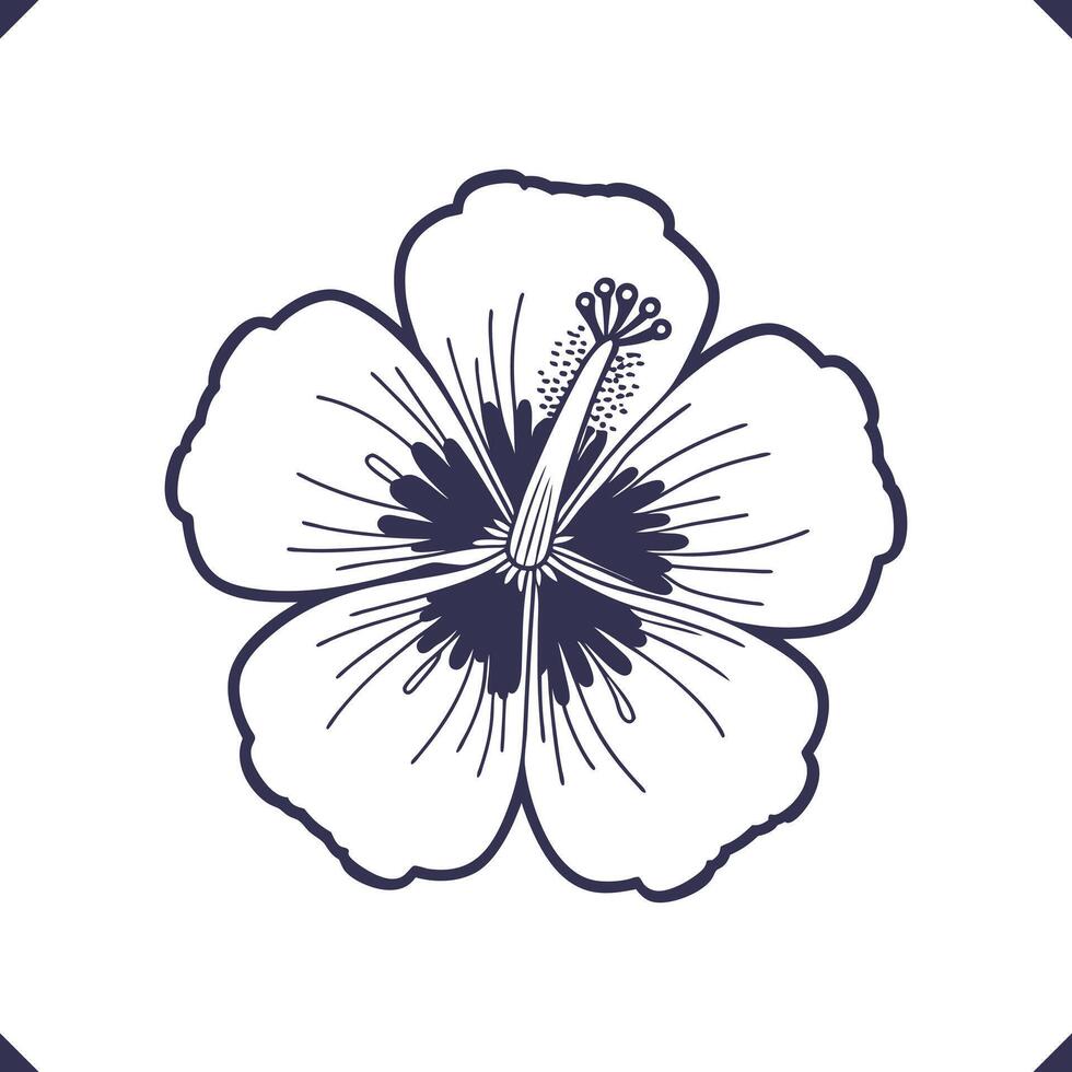 Silhouette of five wide hibiscus petals with extended central stamen, floral line art, high-quality flower vector